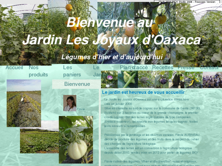 www.jardinlesjoyauxdoaxaca.com