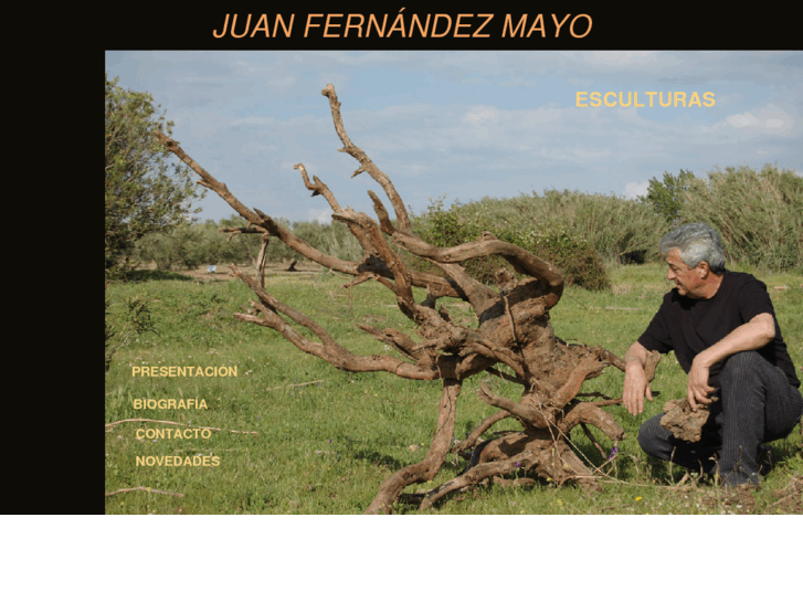 www.juanfernandezmayo.es