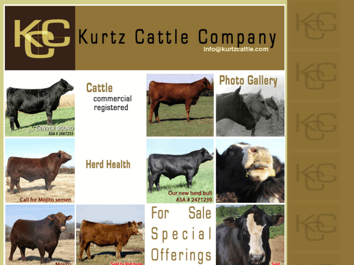 www.kurtzcattle.com