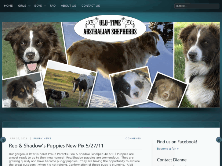 www.old-timeaustralianshepherds.com