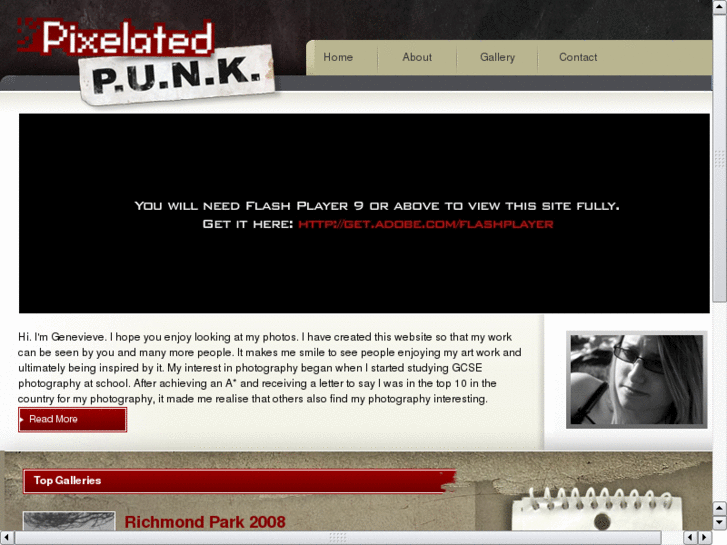 www.pixelatedpunk.com