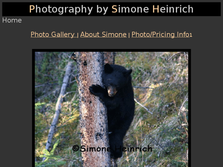 www.simoneheinrich.com