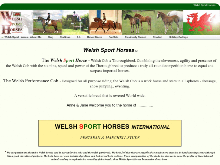 www.welshsporthorses.com