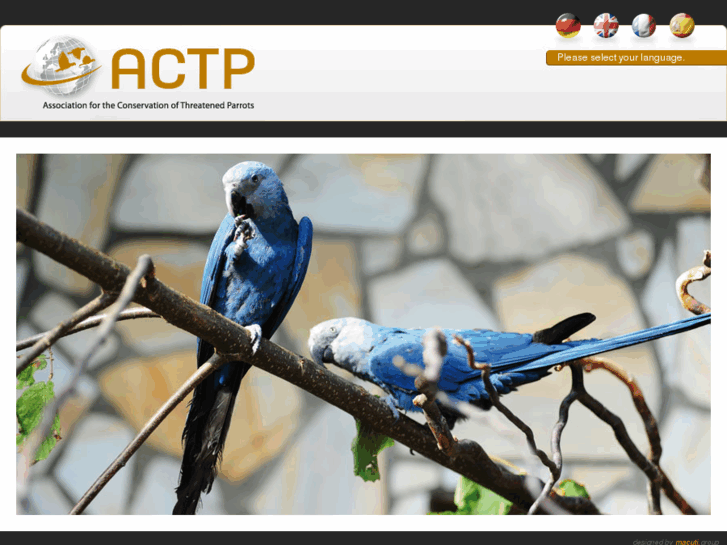 www.act-parrots.com