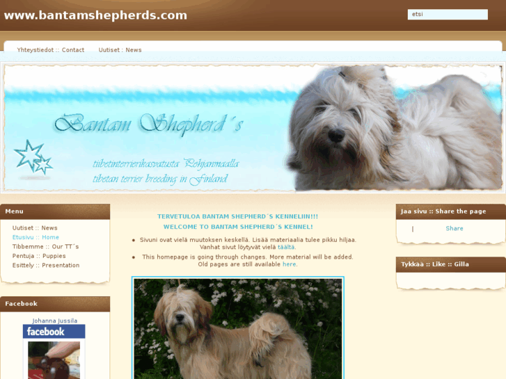 www.bantamshepherds.com