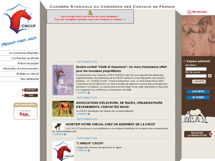 www.csccf.net