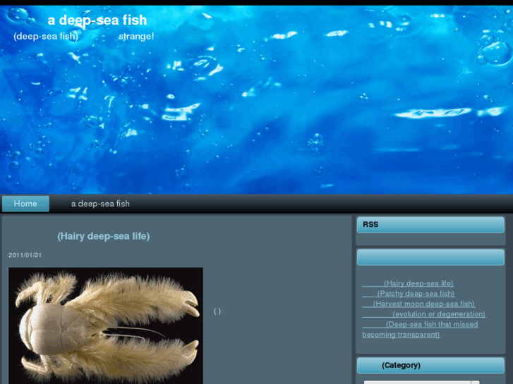 www.deep-seafish.com