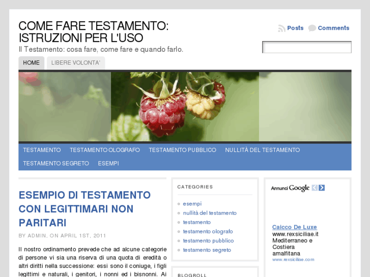 www.faretestamento.com