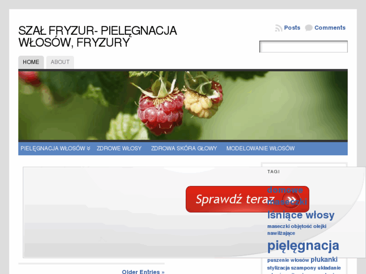 www.szalfryzur.pl