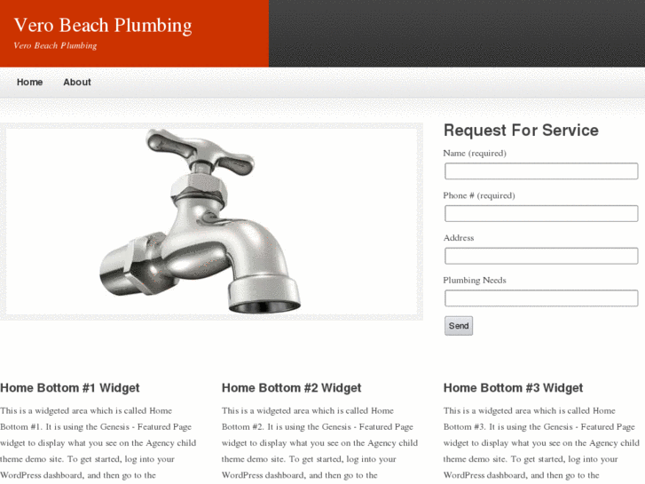 www.verobeachplumbing.com