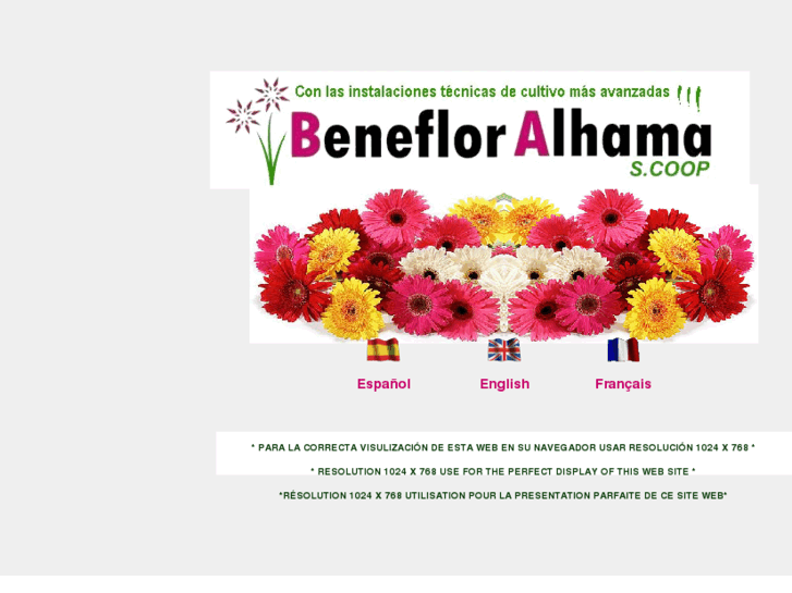 www.beneflor.es