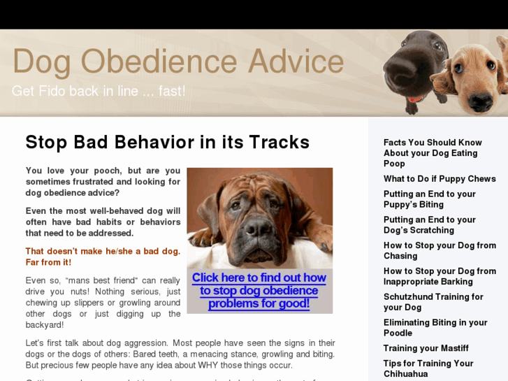 www.dog-obedience-advice.com