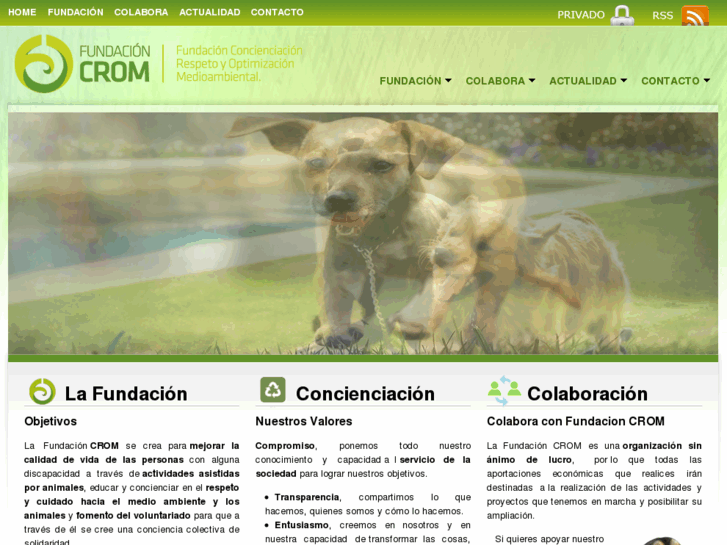 www.fundacioncrom.es