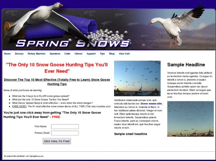 www.springsnows.com