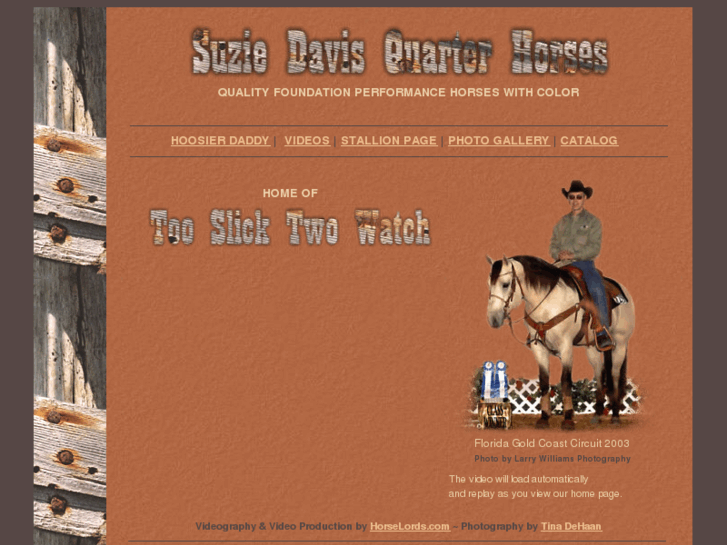 www.suziedavis.com