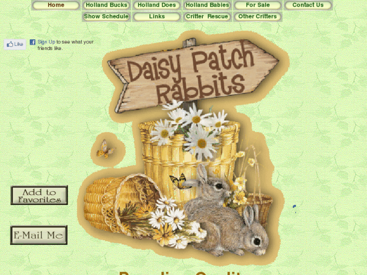 www.daisypatchrabbits.com