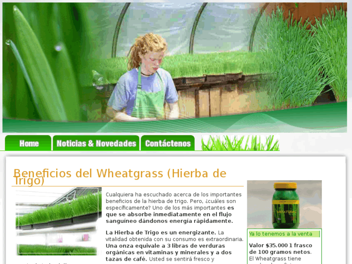 www.hierbadetrigowheatgrass.com