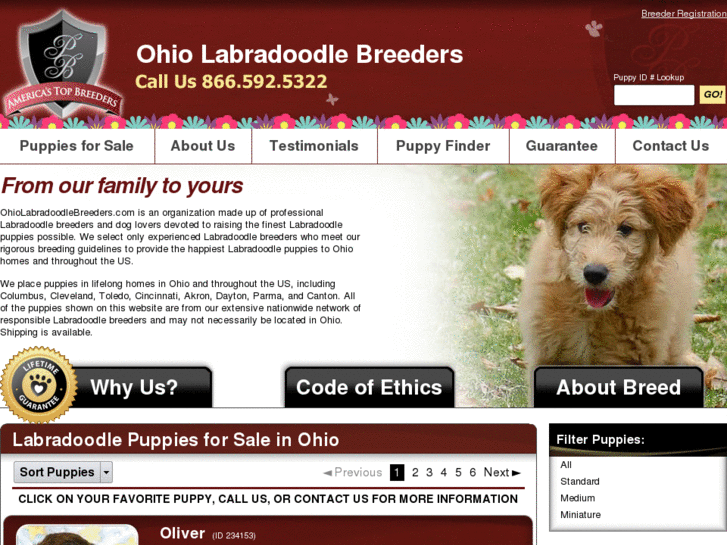 www.ohiolabradoodlebreeders.com