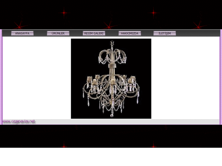 www.ozgenavize.net