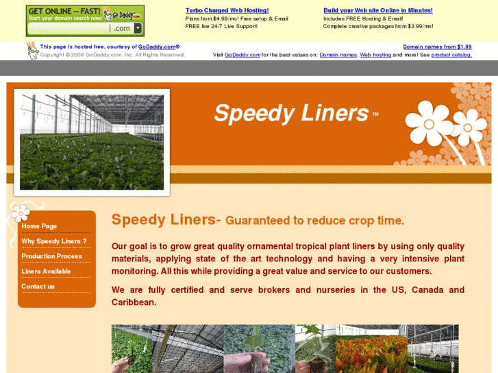 www.speedyliners.com