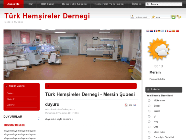 www.thdmersin.com