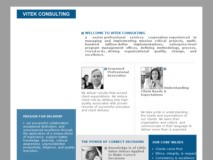 www.vitekconsulting.com