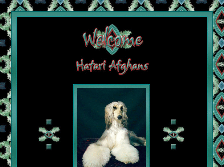 www.hatari-afghans.com