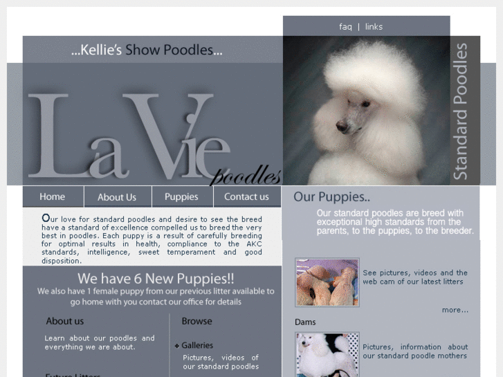 www.laviepoodle.com