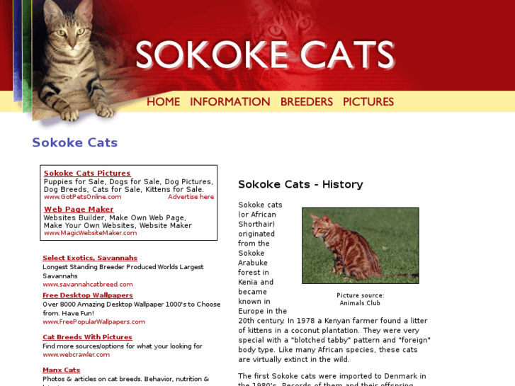 www.sokoke-cats.com