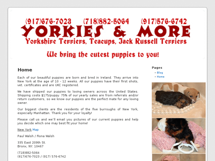 www.yorkiesandmore.com