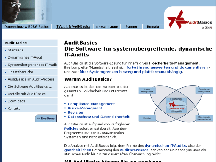 www.auditbasics.de