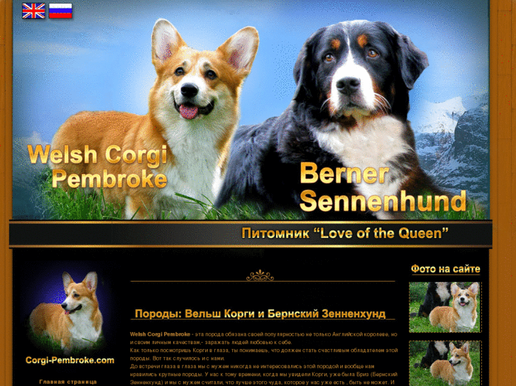 www.corgi-pembroke.com