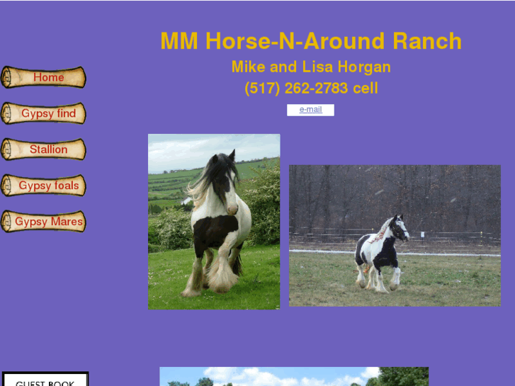 www.mnmgypsyhorses.com