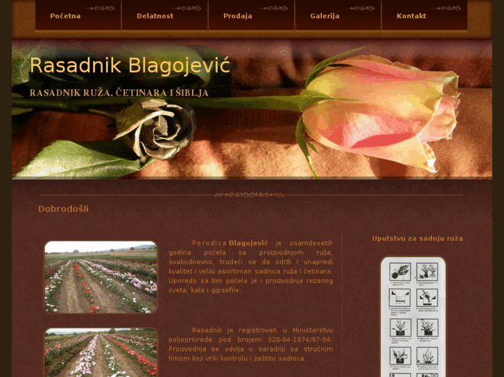 www.rasadnikblagojevic.com