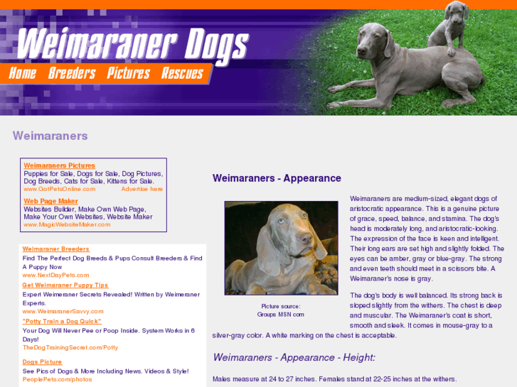 www.weimaraner-dogs.com