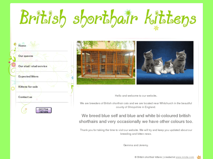 www.british-shorthair-kittens.net