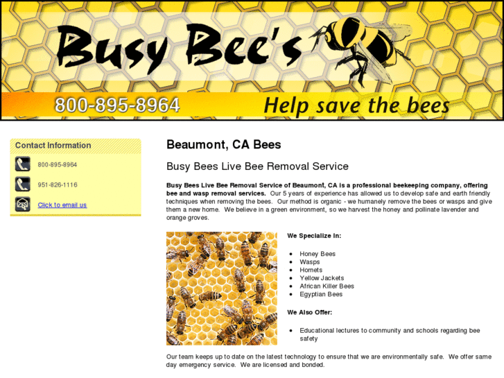 www.busybeelivebeeremoval.com