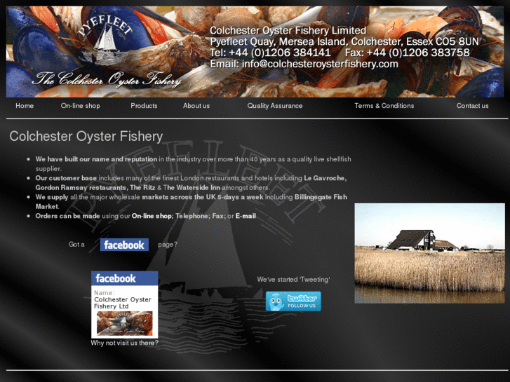 www.colchesteroysterfishery.com