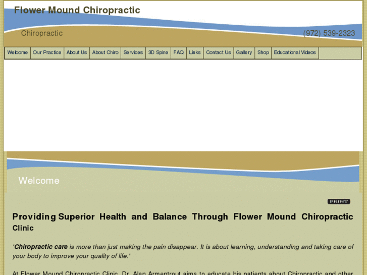 www.flowermoundchiropractic.com