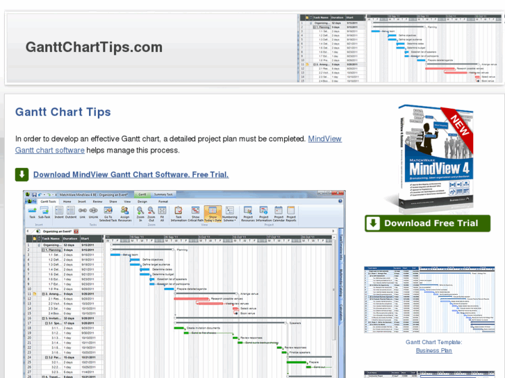 www.ganttcharttips.com