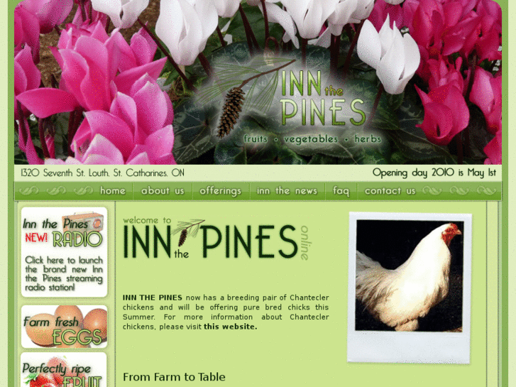 www.innthepinesonline.com