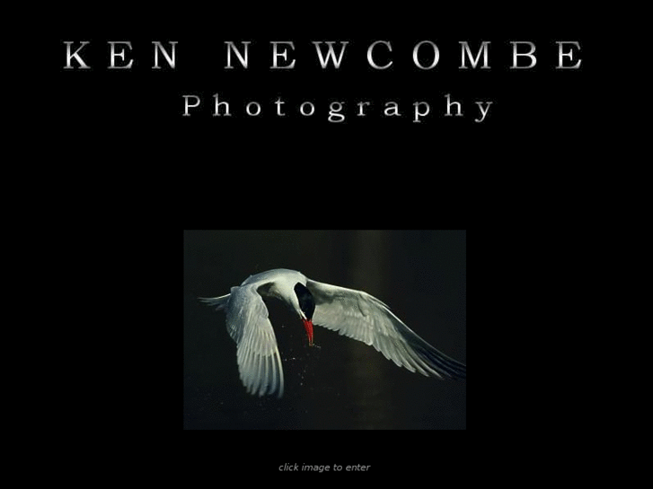 www.kennewcombe.com