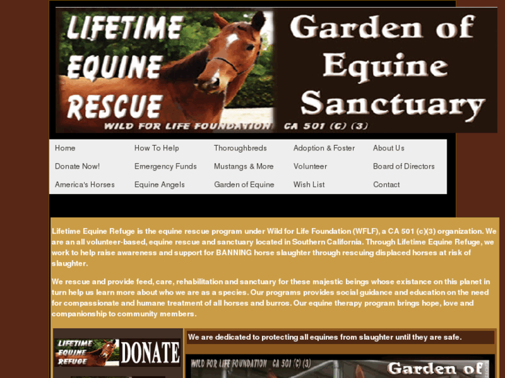 www.lifetimeequinerefuge.com