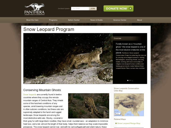 www.pantherasnowleopard.org