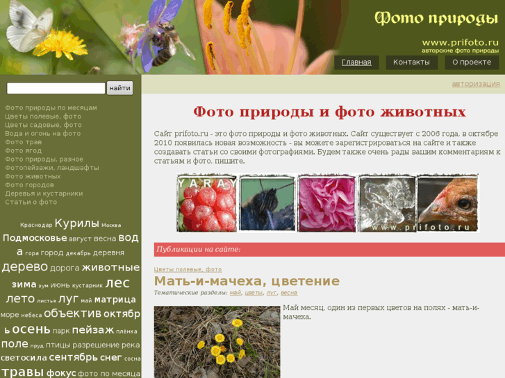 www.prifoto.ru
