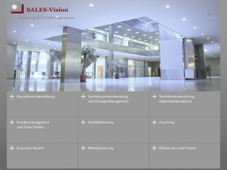 www.salesvision-consult.com