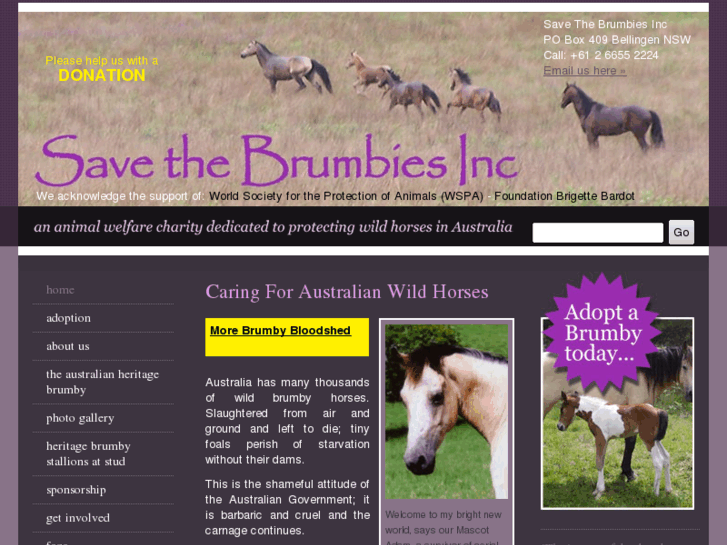 www.savethebrumbies.org