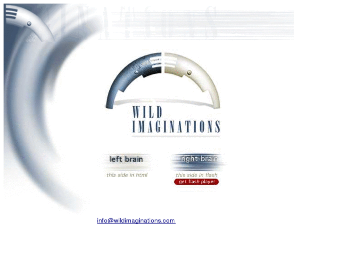 www.wildimaginations.com