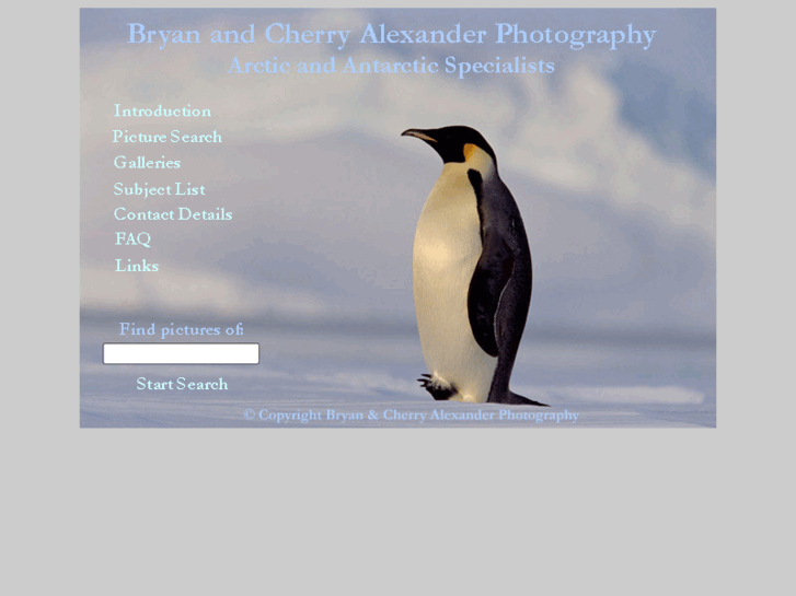 www.antarcticpictures.co.uk