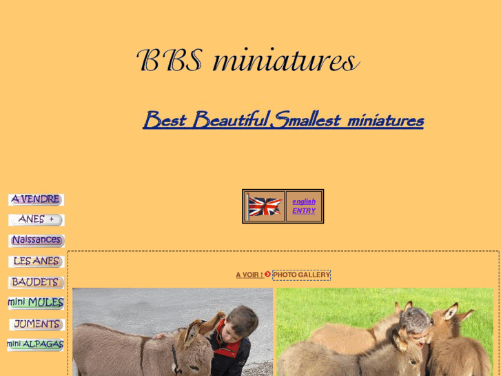 www.bbsminiatures.fr